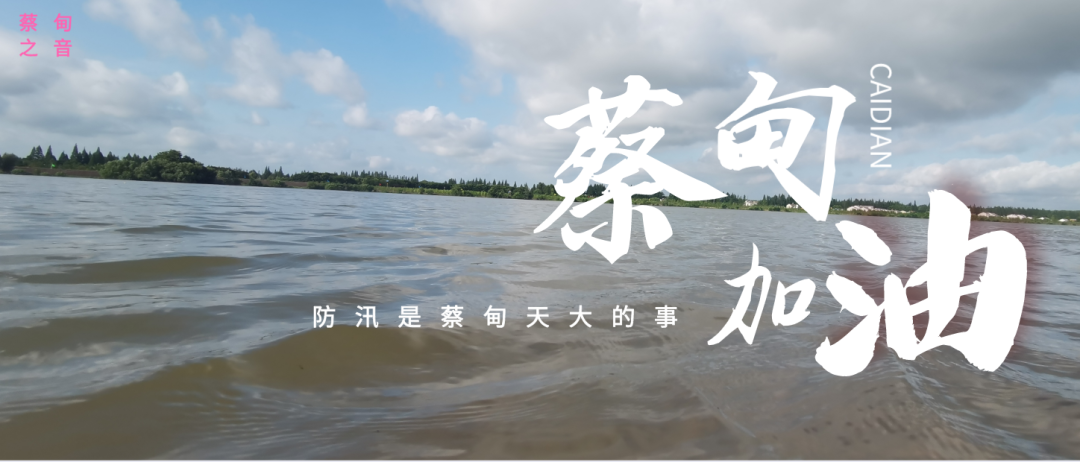 蔡甸區(qū)啟動防汛ⅰ級應(yīng)急響應(yīng)，做好鋪土釘防汛木樁工作