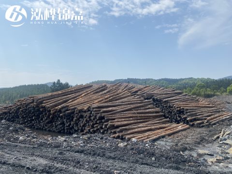 河道打樁為什么選擇松木樁來處理軟地基？-松木樁施工使用范圍
