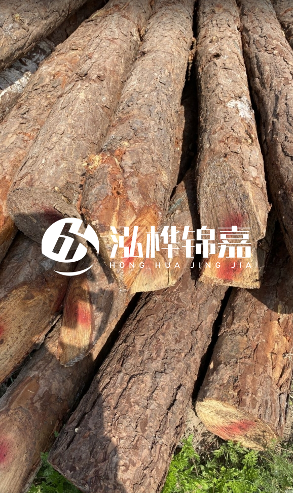 <strong>松木樁和杉木樁的用途區(qū)別？哪個更適合打樁用？</strong>