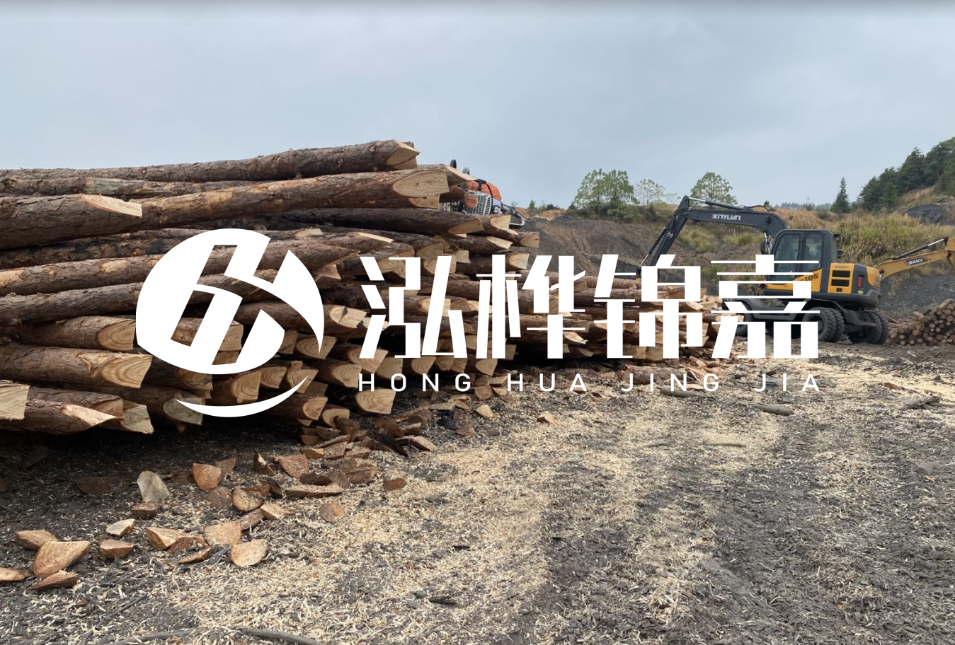 松木樁尾徑是什么意思？