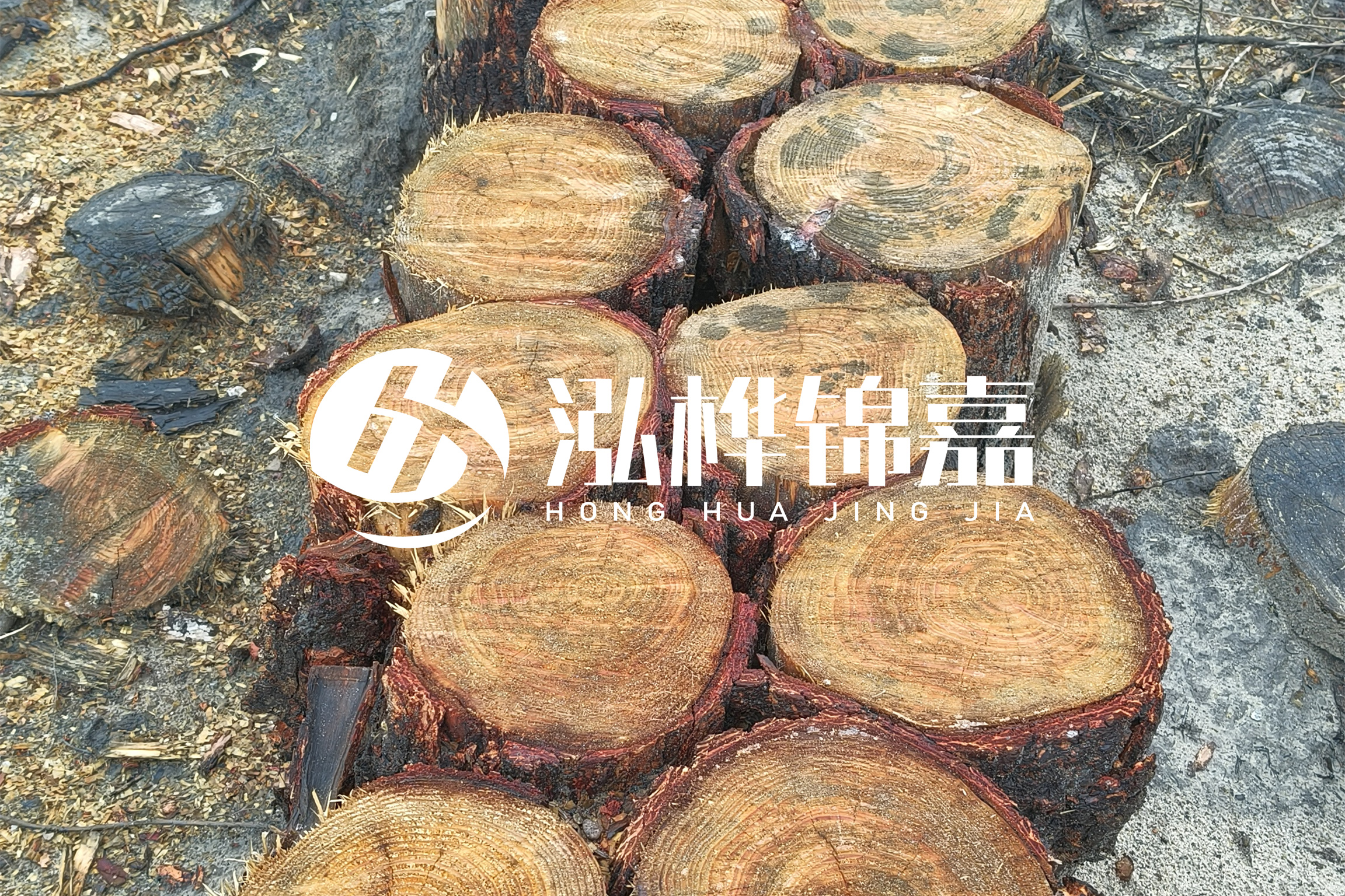 浙江臺(tái)州有清淤的公司嗎？浙江臺(tái)州有清淤施工隊(duì)嗎？