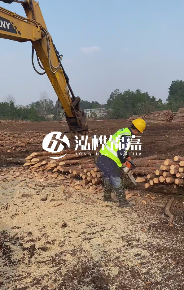 銅陵挖機(jī)打木樁專業(yè)施工-打松木樁一般算米還是算根？