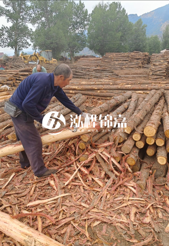 東營河道清淤專業(yè)施工隊-不同型號挖機清淤能力對比？