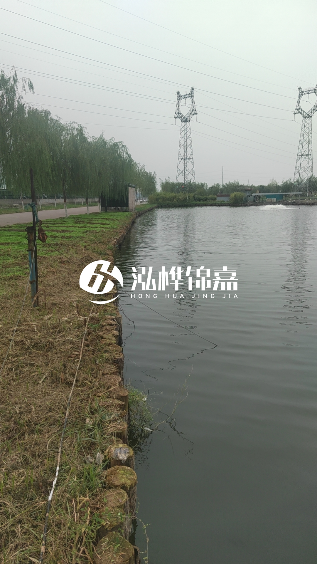 臺州挖機(jī)打木樁專業(yè)施工-松木樁打樁木的密度對打樁效果有影響嗎？