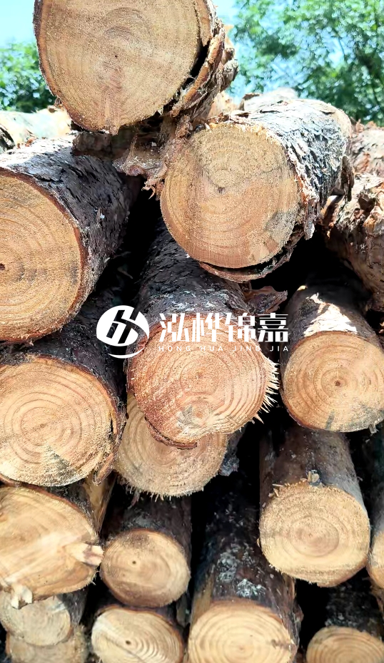周口挖機(jī)打木樁專業(yè)施工-杉木樁施工打樁怎么打？
