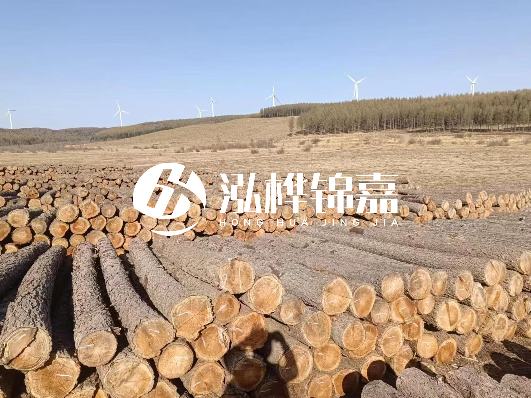 咸寧松木樁源頭廠家-哪里能買到質(zhì)量好的松木樁打樁木？