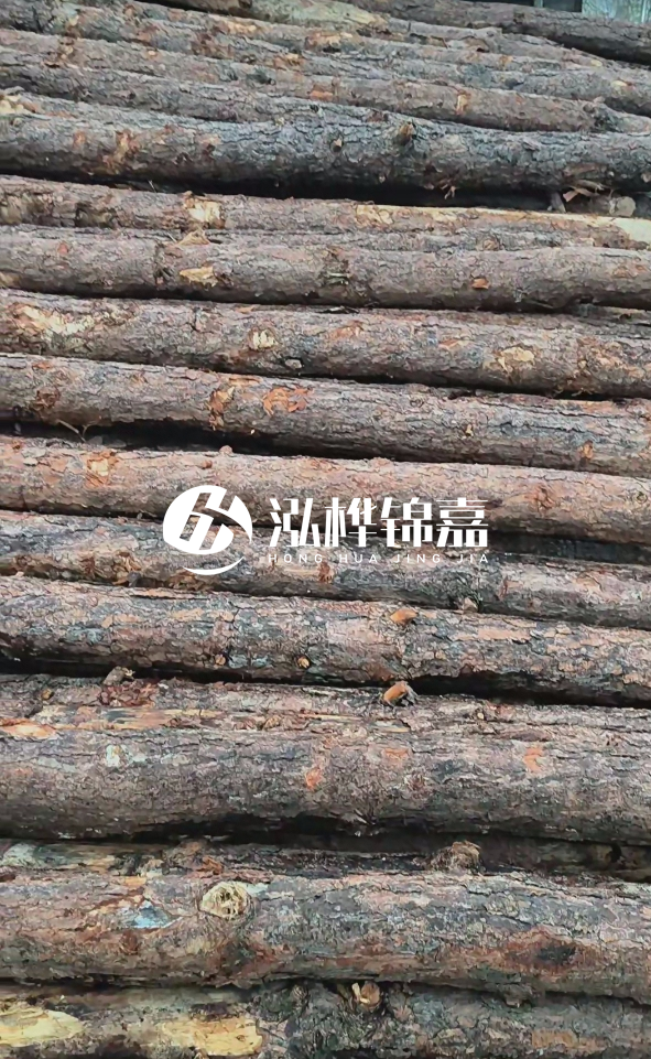 陽(yáng)江松木樁源頭廠家-哪一種打樁木最便宜？