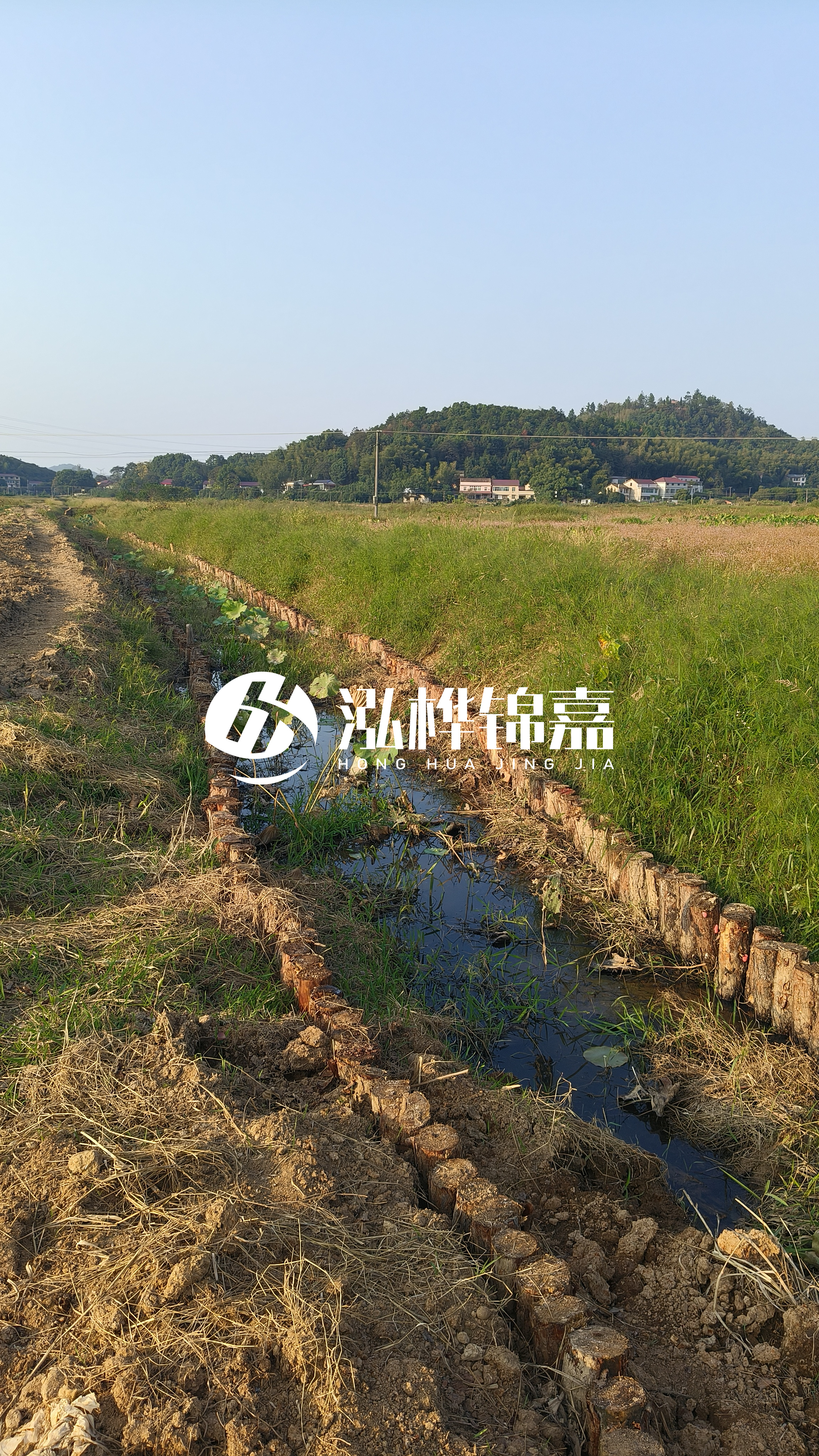 河道護(hù)坡打木樁的目的全解析：你知道幾個？