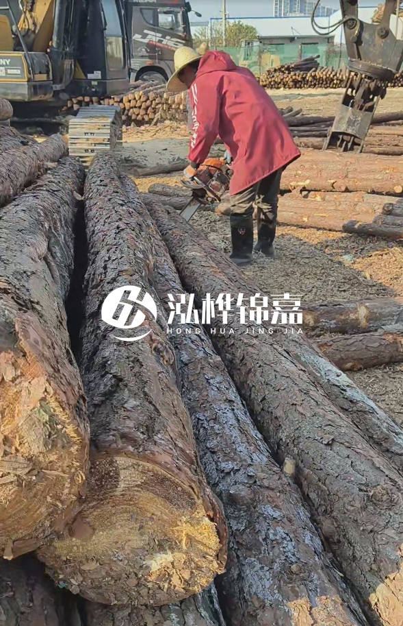 長(zhǎng)沙打樁木批發(fā)廠家在哪里？聯(lián)系方式是什么？