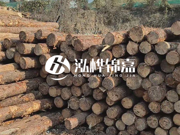 落葉松木材的主要產(chǎn)地在哪里？為什么比其他松木更耐腐蝕？
