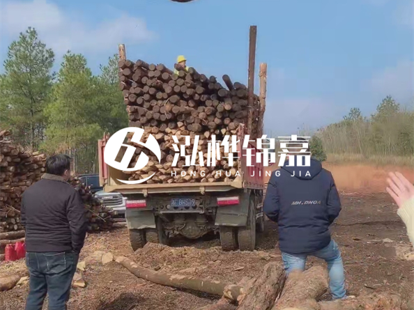 防腐木樁價(jià)格比普通木樁貴多少？防腐木樁有哪些處理方式？