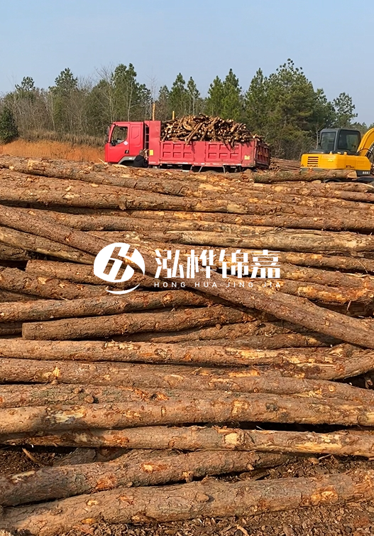 8米小頭11-13CM的松木樁價格是多少？打樁施工怎么算？