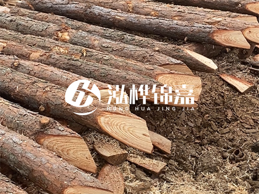 松木樁削尖的費用怎么算？按根收費還是包含在單價里？