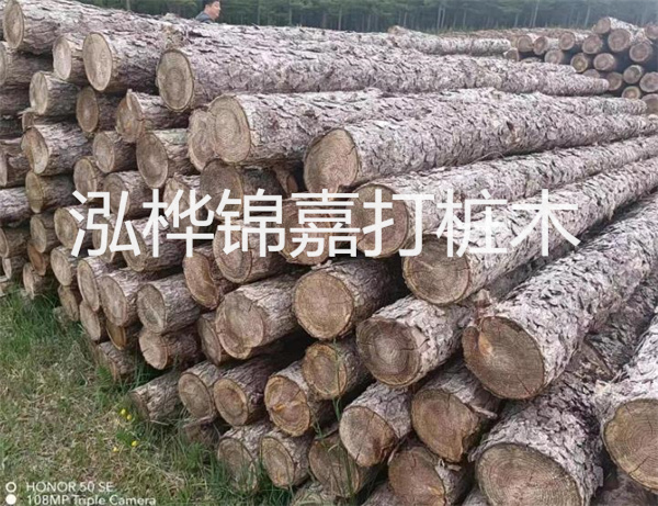 高效修補(bǔ)，保駕護(hù)航！水泥路面高強(qiáng)度修補(bǔ)料為您解決煩惱！