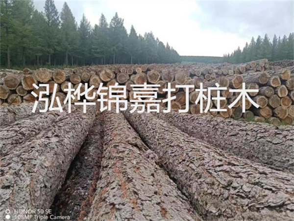 高效施工，圓松木樁助力建筑工程進(jìn)展順利