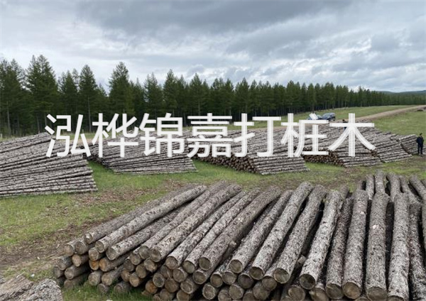 鋼結(jié)構(gòu)施工方案大全免費(fèi)提供，助力工程建設(shè)