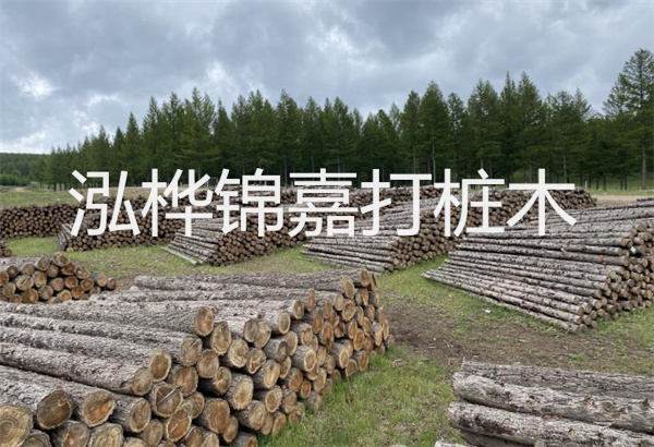 預(yù)制松木樁施工工藝：優(yōu)質(zhì)材料，高效快速，堅(jiān)固耐用