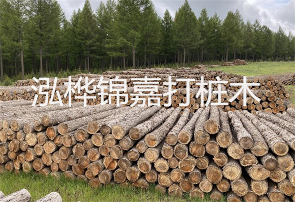 松木樁能施工嗎？探究視頻揭秘真相！
