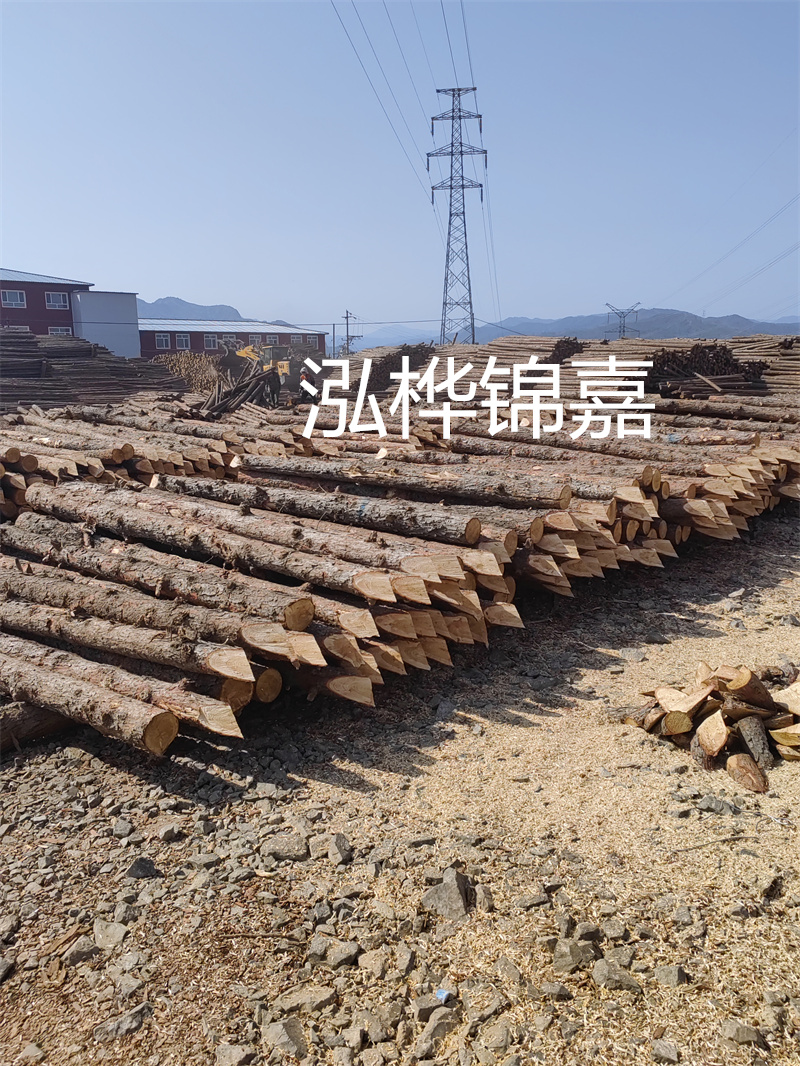 深入了解松木樁基礎(chǔ)施工單價(jià)，助力工程建設(shè)順利進(jìn)行！
