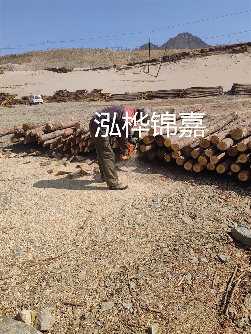 松木樁駁岸施工，打造水上風(fēng)景線