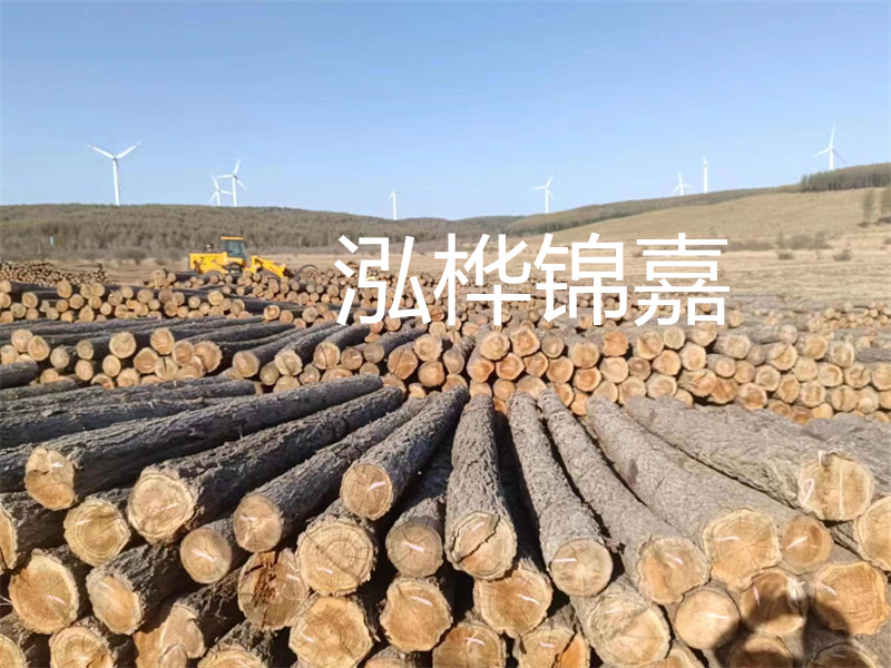 溫州松木樁施工廠家——為您打造堅(jiān)固穩(wěn)定的建筑基礎(chǔ)！