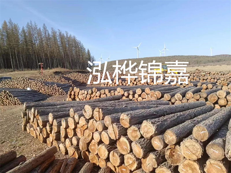 用路基松木樁施工方案提升工程質(zhì)量描述：了解路基松木樁施工方案的重要性，提高工程質(zhì)量關(guān)鍵詞：路基松木樁，施工方案，工程質(zhì)量