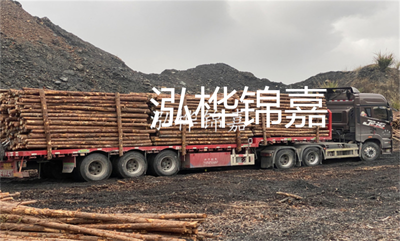 云南哪里有松木樁？實用指南，助您選購優(yōu)質(zhì)木材！