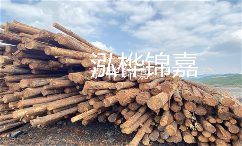 濮陽松木樁，卓越品質(zhì)，安全可靠