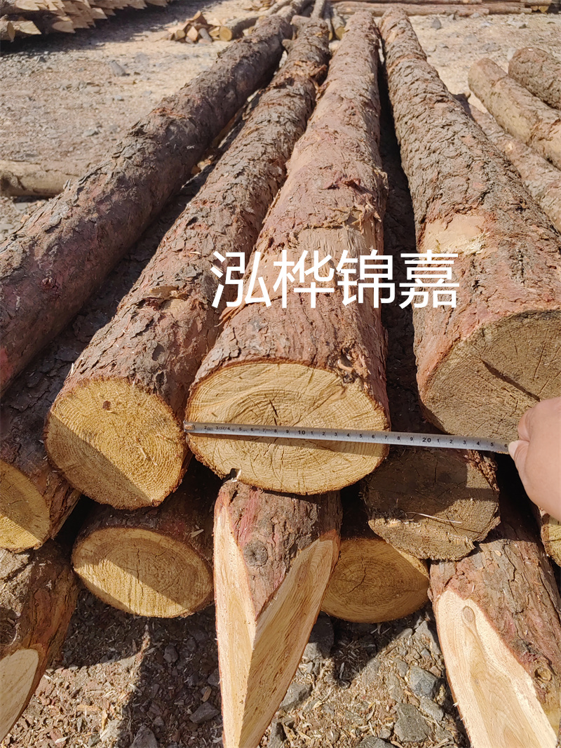 福建哪里買松木樁？