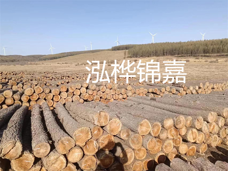 濟(jì)南哪里賣松木木樁？